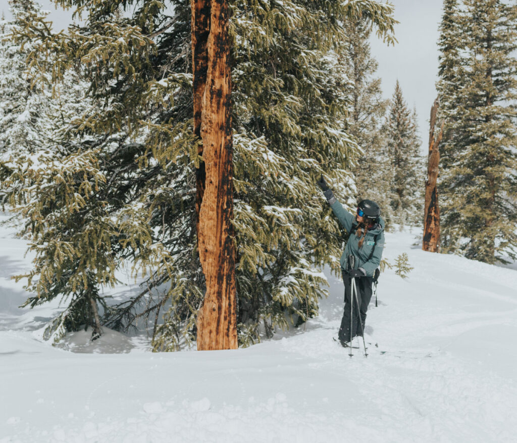 person on skiis by a tree