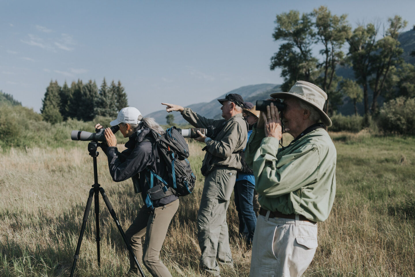Patch Birding: Explore Your Local Birding Spot