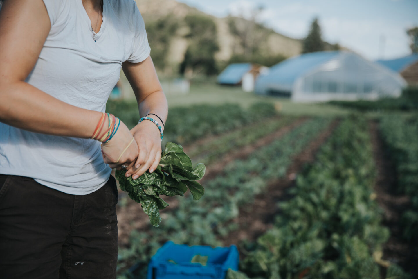 Earth Day: Self-Guided Farm Tours - ACES