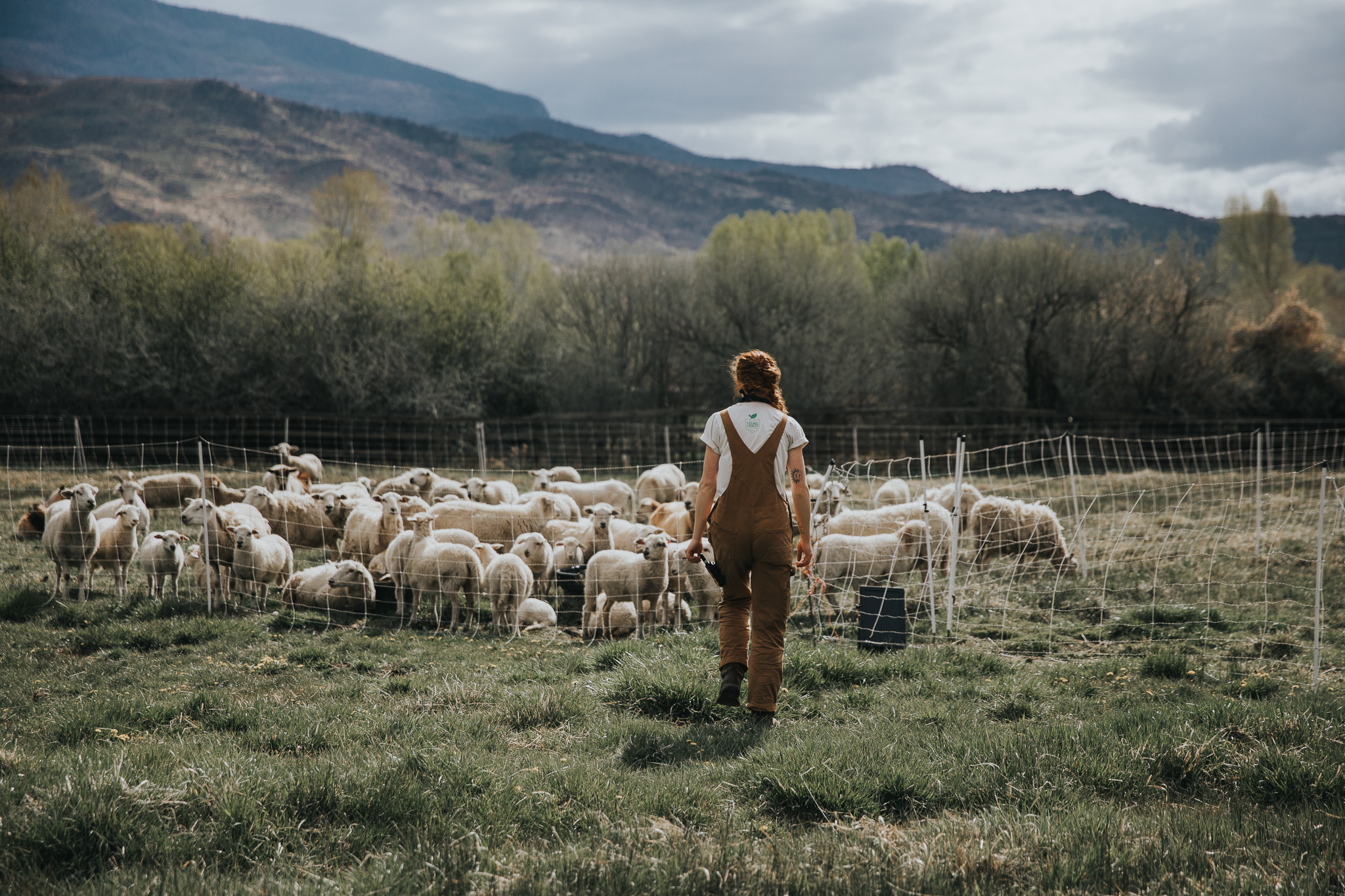 August 2023 Farmer Updates from Rock Bottom Ranch - ACES