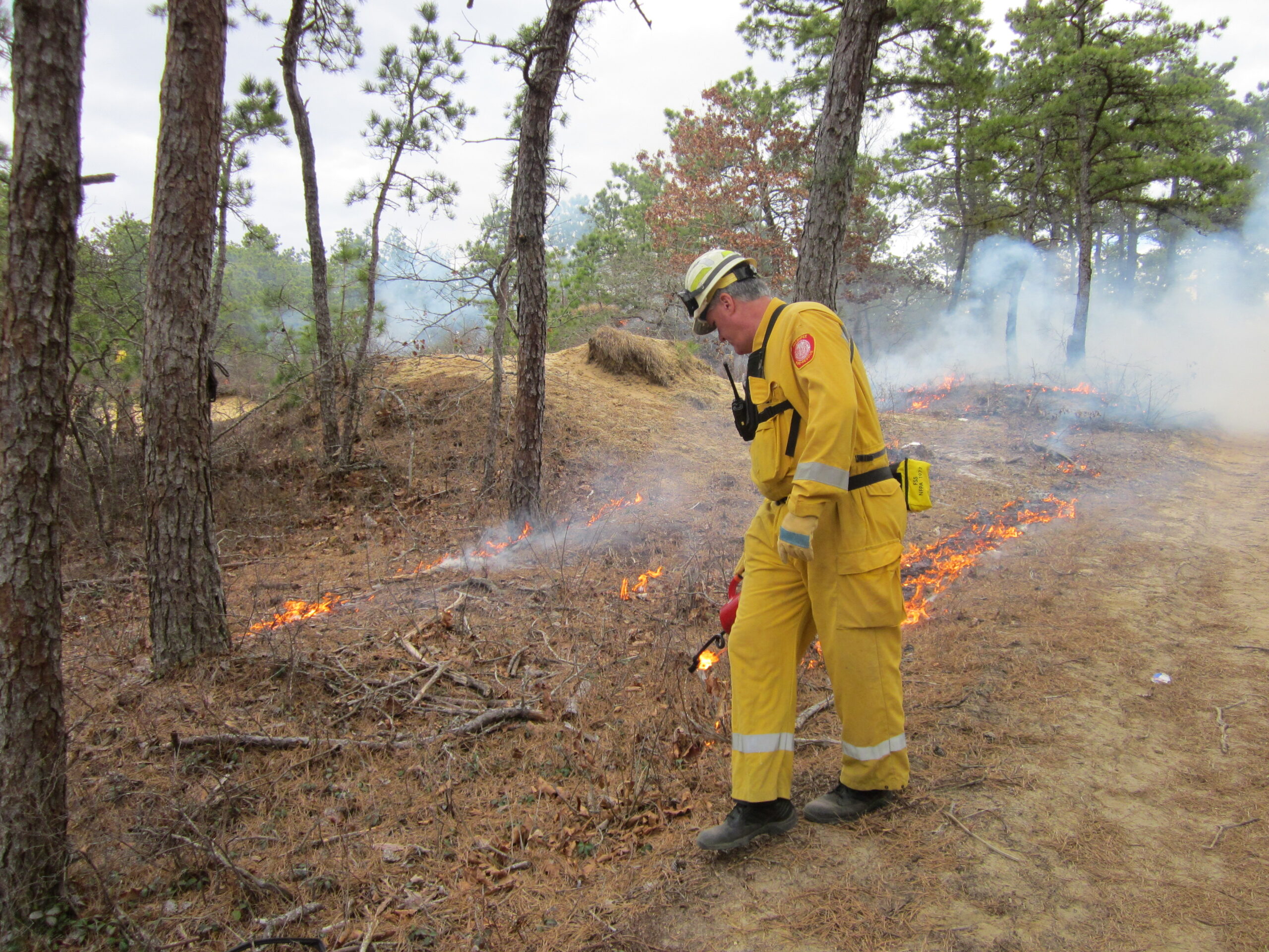 “Untrammeling the Wilderness: Restoring Natural Conditions Through the