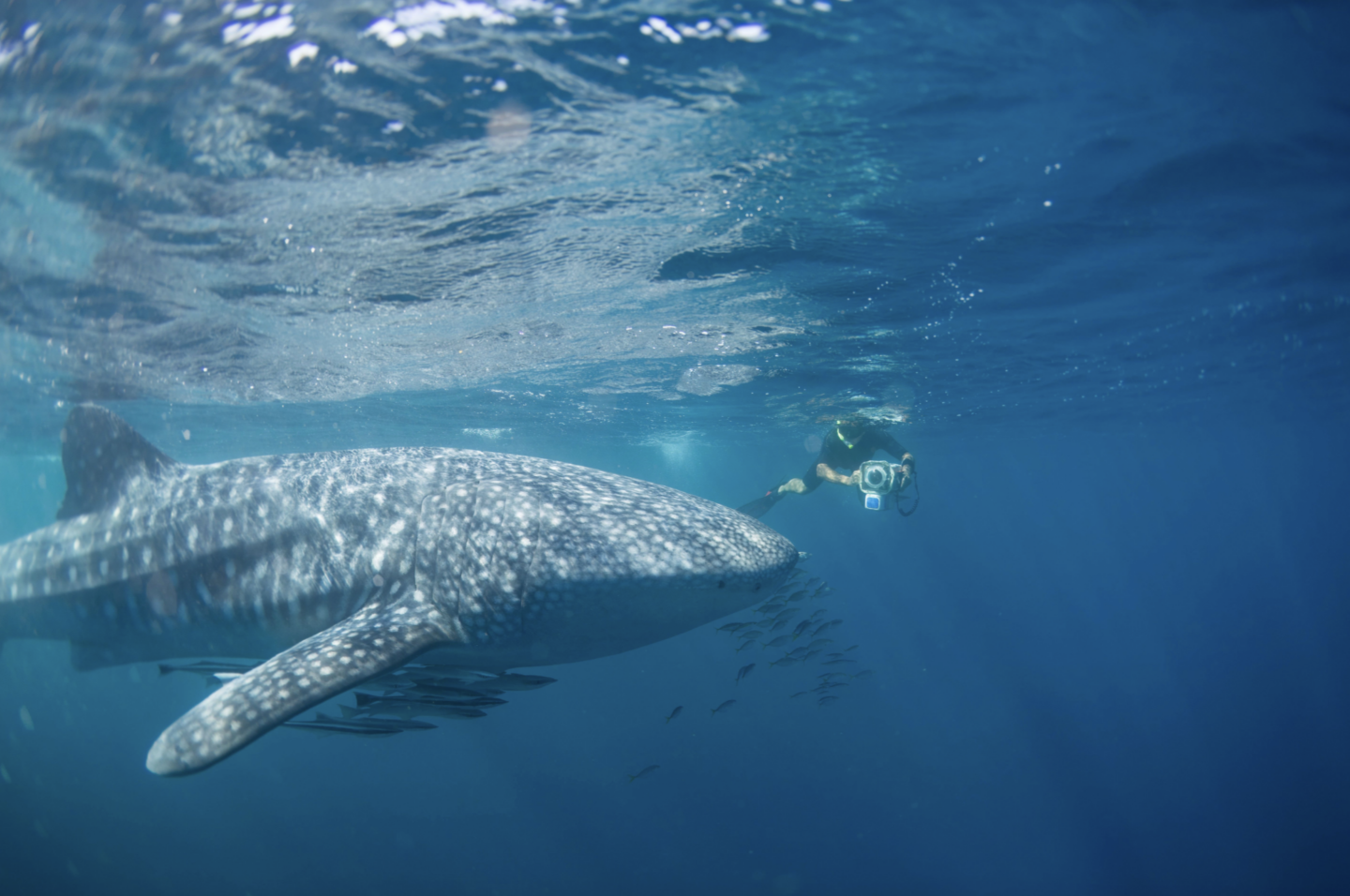 “Defining Moments: an extraordinary anthology of photographs and the ...