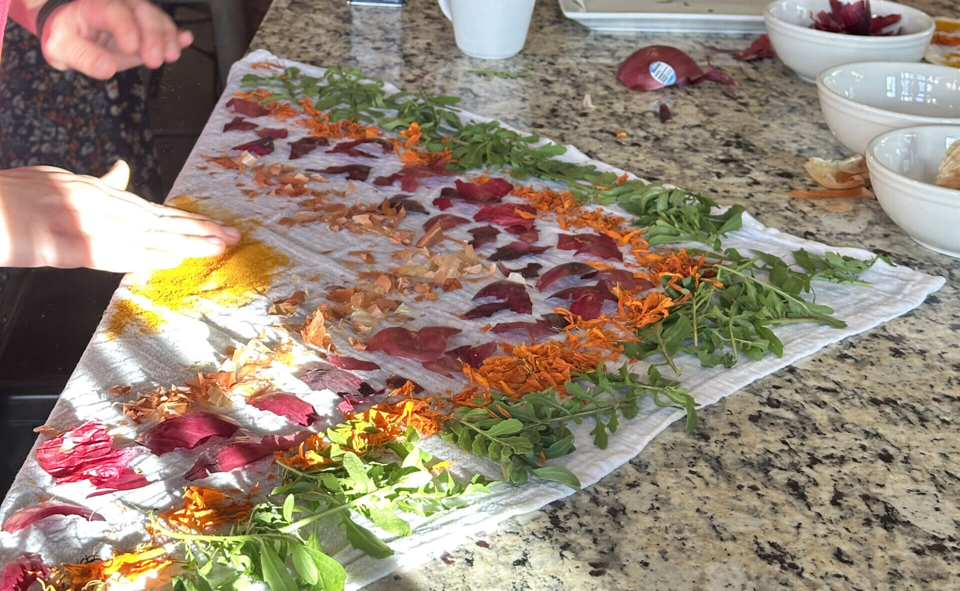 Natural Dye Workshop Aces