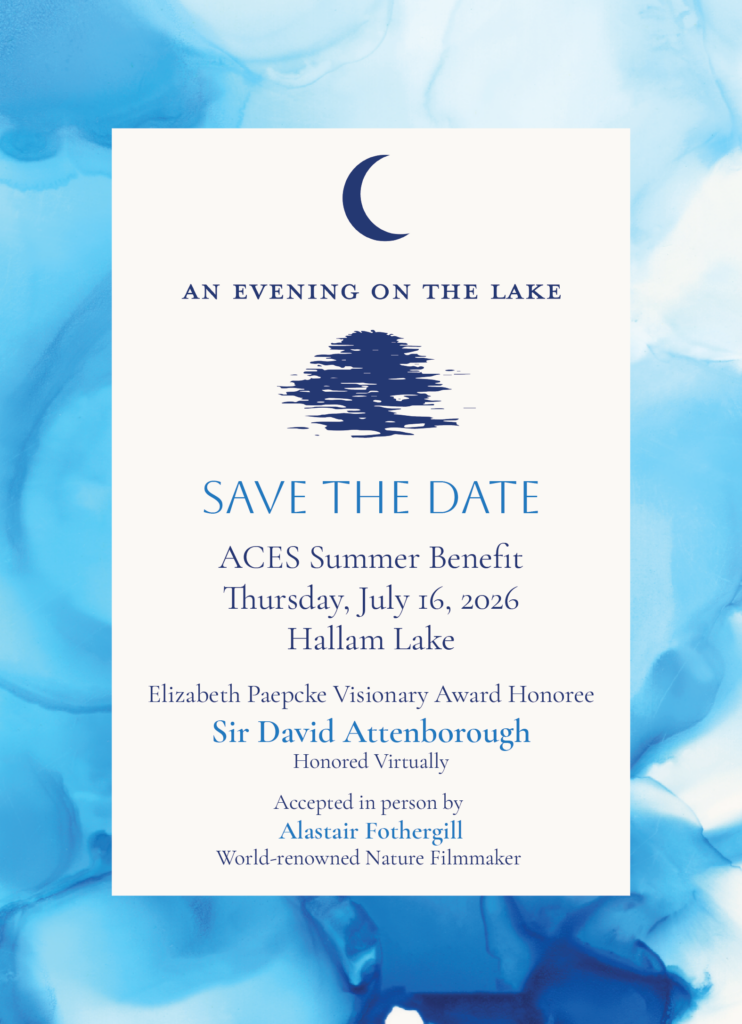 An Evening on the Lake event graphic