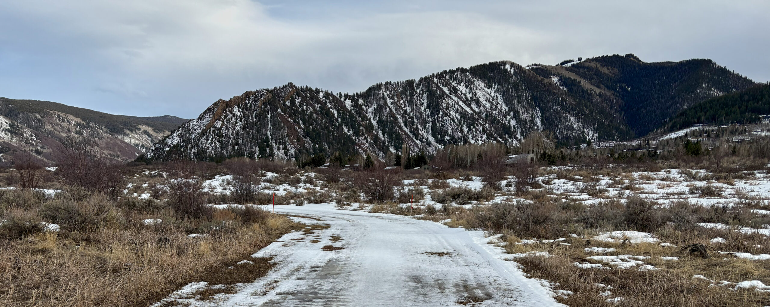 The Winter We Have (Not the One We Wanted)