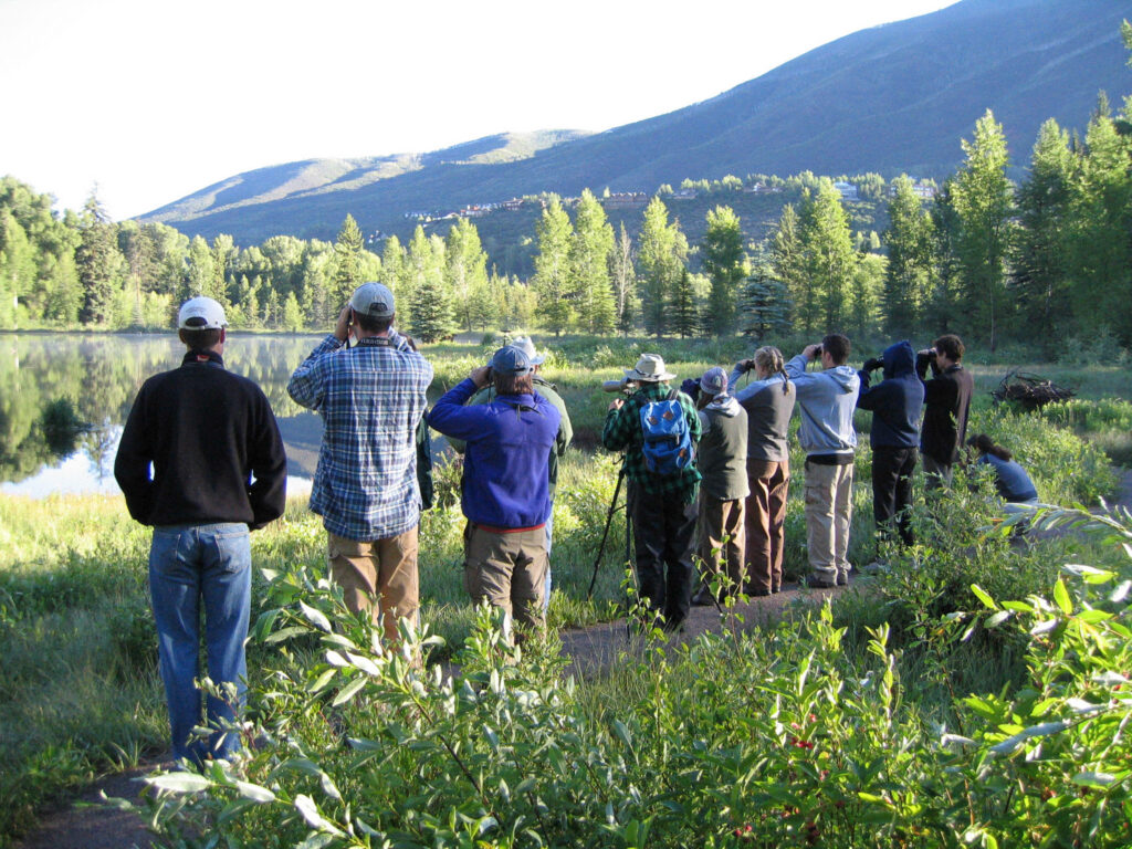 Outdoor Environmental Education