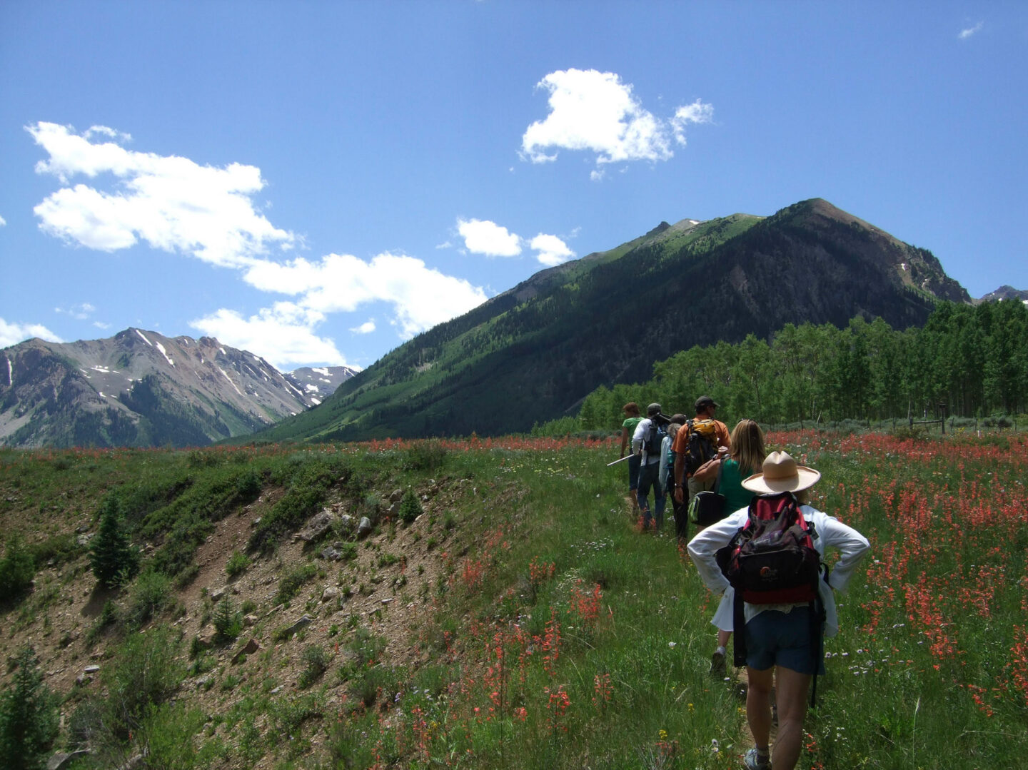Why Experiential Learning is Essential for Environmental Education